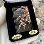 CherryblossomMtFuji