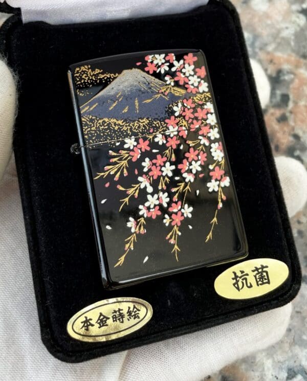 CherryblossomMtFuji