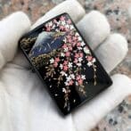 CherryblossomMtFuji_01