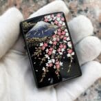CherryblossomMtFuji_02