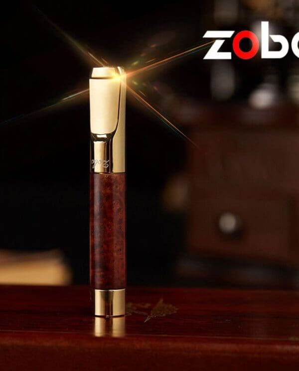ZB301